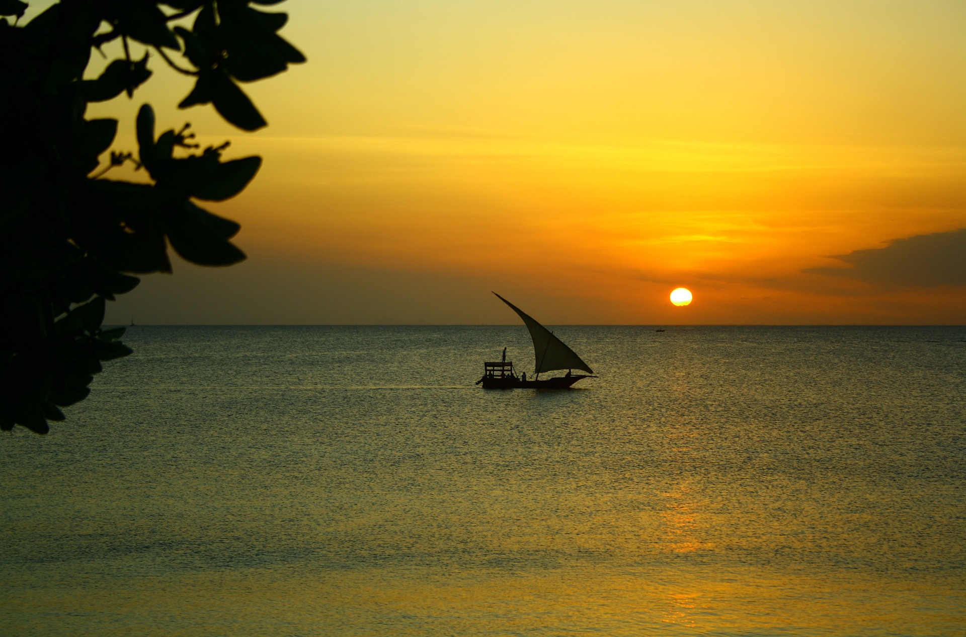 Safari + Zanzibar