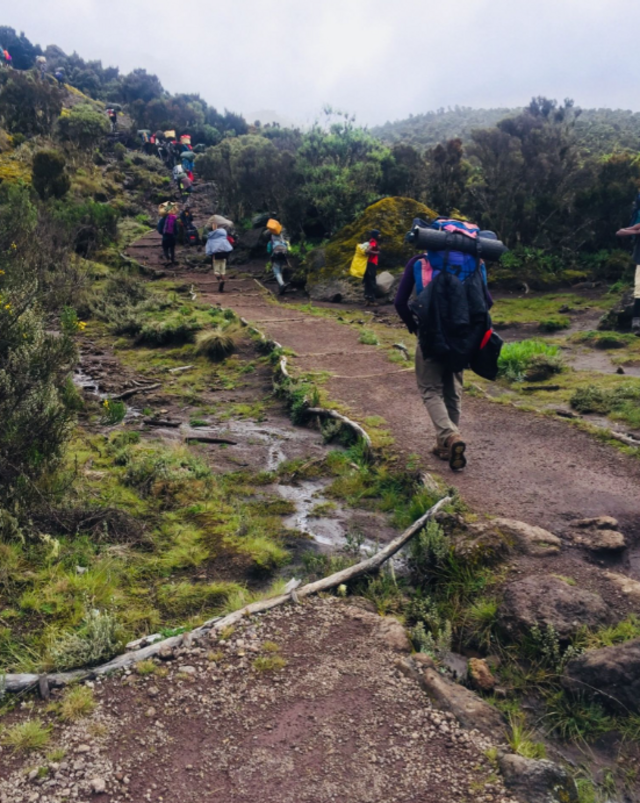 Machame Route
