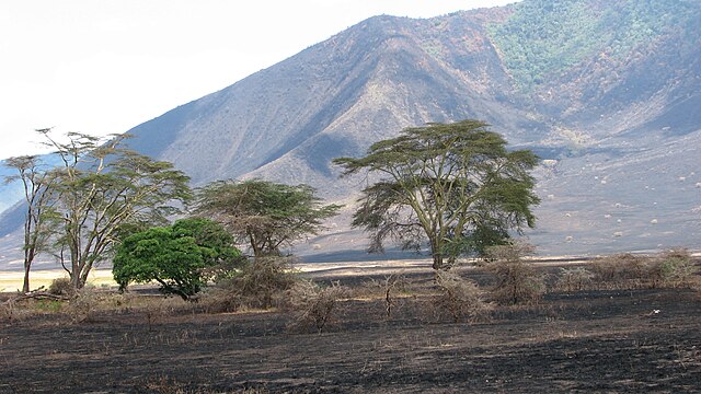 Ngorongoro Highlands
