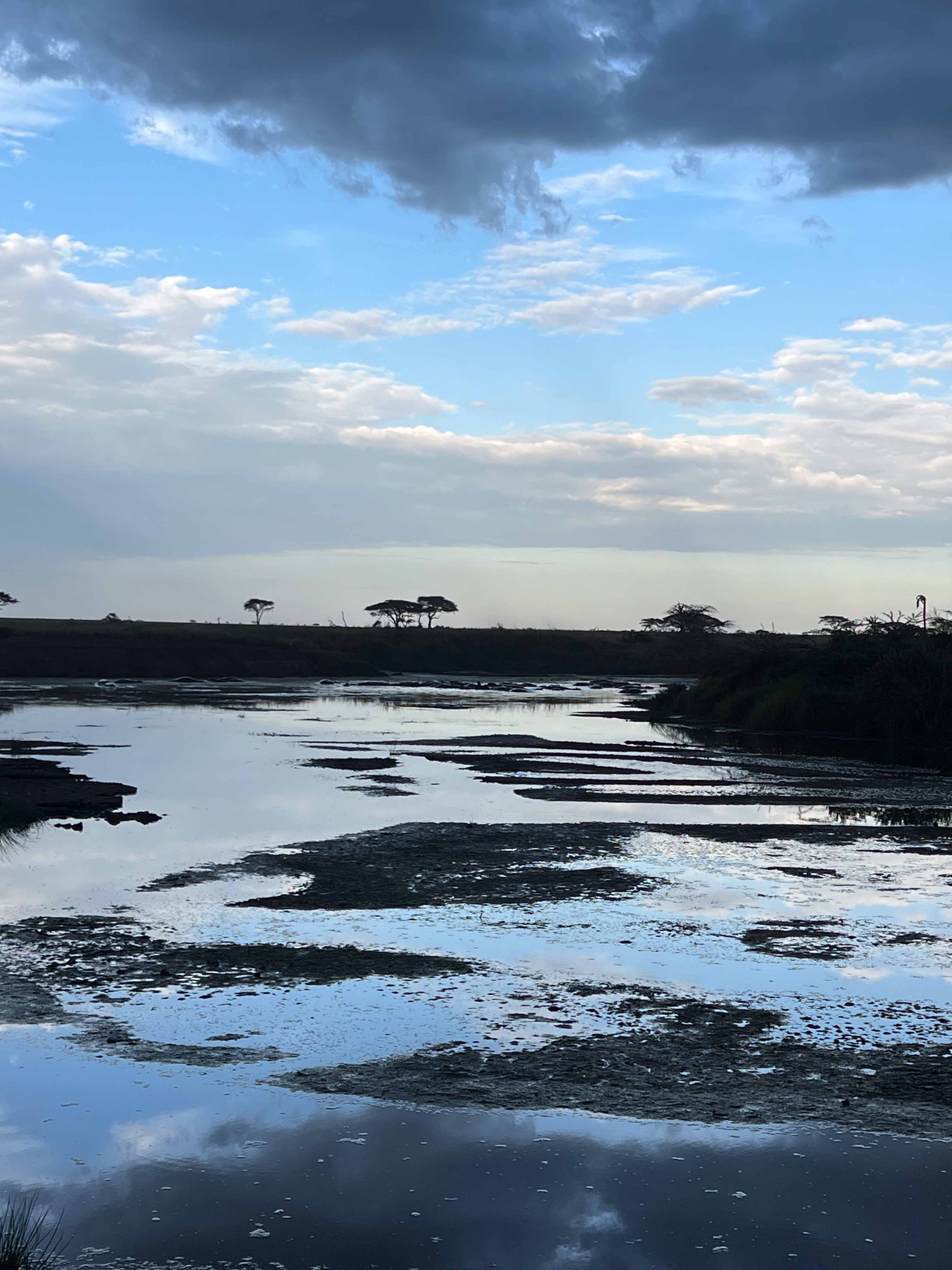 Great Migration Safari